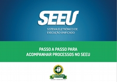 SEEU Sistema eletrônico de execução unificado